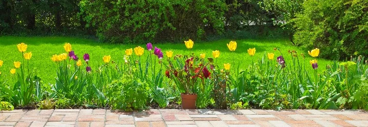 Blumenbeet vor einer Terrasse